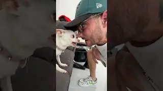Niki bites my face😱😱????