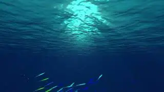 Calming Ocean Background 3 Hours