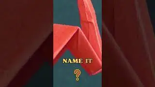 Guess the Zoomed in Photo! Origami puzzle quiz