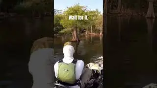 SNEAKING up on this BASS with a FROG! 🤫🐸 #shorts #kayakfishing #amazingcatch