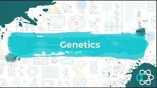 2022 L1 Genetics tutorial and Q&A