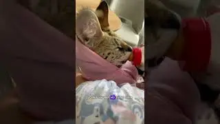 Ладно я кормлю дочь хищную из бутылки. Но почему никто не обратил внимание на мои синие ноги?!🤣