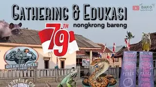 Edukasi Reptil 17an kp.Pelaukan Cikarang