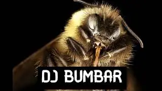 DJ BUMBAR -  MALA VOLI DA ZINE (OFFICIAL BANGER 2021)