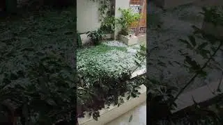 Hailstorm at Mohali | 1 February| Chilly Winters