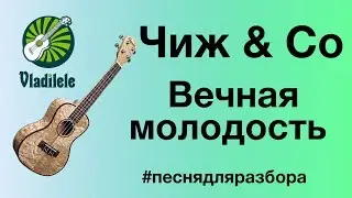 ЧИЖ & CO - ВЕЧНАЯ МОЛОДОСТЬ разбор на укулеле