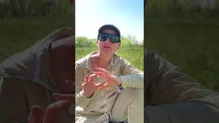 Отзыв о Лабиринте. Елена