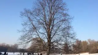 Январь 2017 г. В Нюрнберге