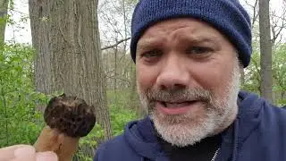 First Morel of 2022 with The Mushroom Hunter