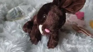 Reborn Cuddle baby headed home