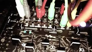 Softpop Self Arp Patch