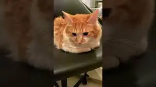 КОГДА ТЫ УВЕРЕН, что В ЭТОМ МИРЕ ВСЕ ДЛЯ ТЕБЯ
