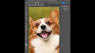 Magic Of Photoshop