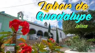 Labor de Guadalupe, Jalisco (Foto Video)