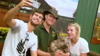 Karen cuddles a koala and a kangaroo at the zoo (with Anastasia too) | Mastercard Hopman Cup 2018