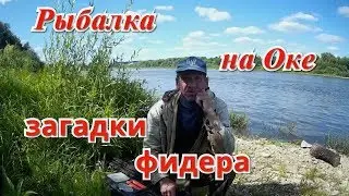 Рыбалка на фидер в Тарусе. Ока, июль.