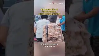 Bystanders lift car to save woman pinned beneath vehicle