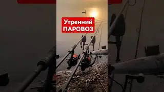 Утренний паровоз карпа 
