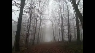 Korrekter Kollege - Deep Dubz 2020