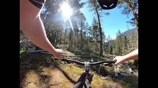 The 'stache - Whistler