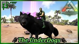 Is the Direwolf the BEST Early Game tame? Ark's The Underdogs 99