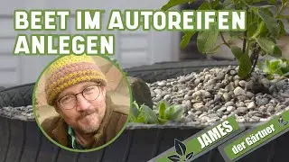 Ein alter Autoreifen wird zum Garten I James der Gärtner