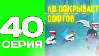 ПУТЬ ТОП 1 ФАМЫ С НУЛЯ #40 - СПАЛИЛИ ЛД ФАМЫ ЗА ПОКРЫВАТЕЛЬСТВО ЧИТЕРОВ на БЛЕК РАША