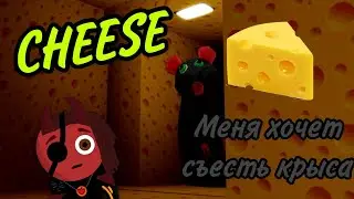 На этот раз я очутился в СЫРЕ! Меня хочет съесть крыса, но это у нее не получается сделать!