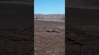 Трактор ДТ-75 Закрытие влаги 