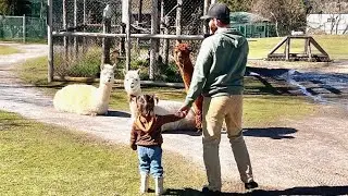 Exploring Jungle Cat World Wildlife Park