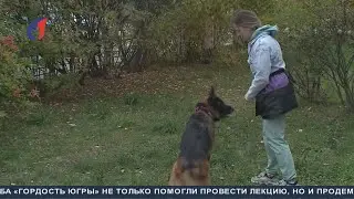 Собака – друг человека. ТК «Первый Советский»