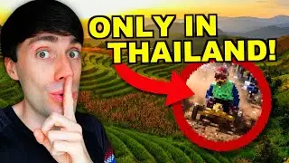 Should YOU Visit Mon Jam Thailand? | Best Glamping & Road Trip from Chiang Mai