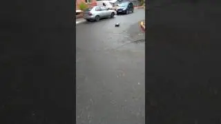 Rc drift