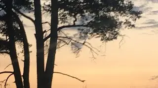 Piirettään:))