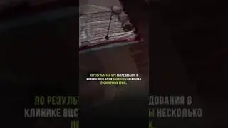 Отзыв о ветеринаре - неврологе Батарай Б.