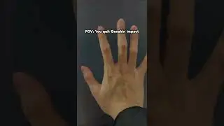pov: you quit genshin impact
