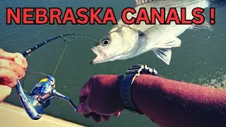 Fall Fishing Nebraska 's Irrigation Canal System
