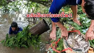 หลังเดียวปลาท่วมงาใน!! ดักปลากดน้ำชี ใช้เหยื่อมดแดง Ep.39 by ครัวบ้านผม