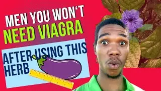 🍆🌿🔥Men Have You Tried This Herb?🤔(Duppy Gun Benefits For Men🔥🌿)