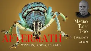 Aftermath -  Macro Talk Too #97 - 6/6/24