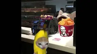 Banana Cat ate KFC without money 