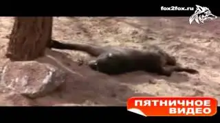 #ПятничноеВидео: ОСТАНЬСЯ СО МНОЙ