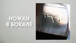 Legs in a glass of wine