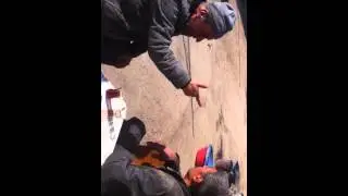 IMG 0528