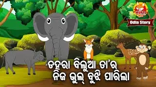 Dahara Bilua Tara Nija Bhul Bujhi Parila - ଡହରା ବିଲୁଆ ତାର ଭୁଲ ବୁଝିପାରିଲା | Moral Story | Huke Hu TV