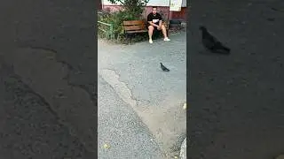 ПОДПИСЧИК ВСТРЕТИЛ АНТОНА
