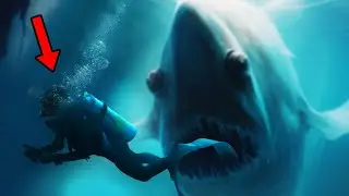 The TERRIFYING Mystery Of "Bloop"