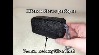 Утопил блютуз колонку Silver Crest Sound Mini + разборка
