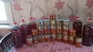 Осенняя ловля чебака