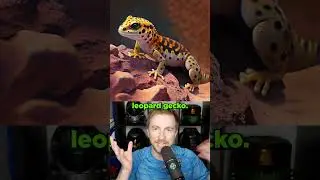 Using Ai to Combine Animals 3 
